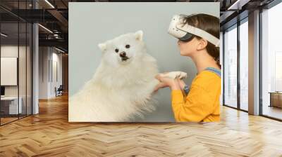 Child girl playing virtual reality with her dog white japanese spitz puppy over grey background, digital technology concept, innovative technologies Wall mural