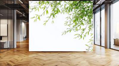 Green tree branches willow creating frame over white background Wall mural