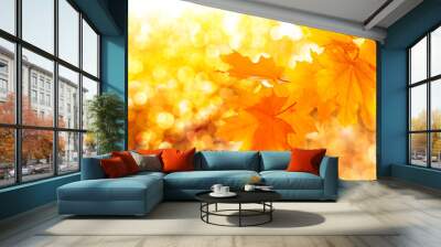 autumn landscape with bright colorful foliage. Indian summer. Wall mural