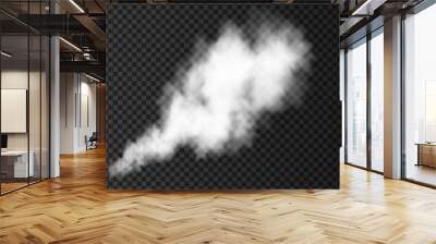 White  smoke burst  isolated on transparent background. Wall mural