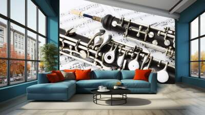 Classical music instruments oboe Wall mural