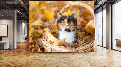 Cat sitting in a basket and autumn leaves . A young colored cat. Autumn leave. Cat in the basket. Walking a pet. Article about cats and autumn. Yellow fallen leaves. Wall mural