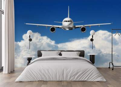 business plane on blue sky Wall mural