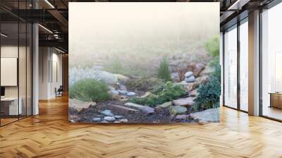 garden landscape design Wall mural