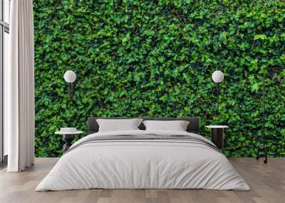 Green leaves  background Wall mural