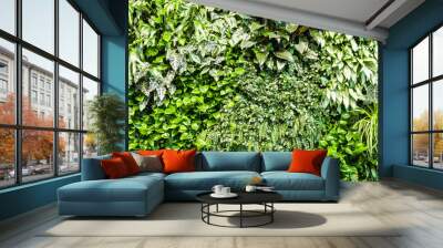 Green leaves background Wall mural