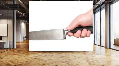 hand with a kitchen knife Wall mural