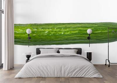 Isolated cucumber. Wall mural