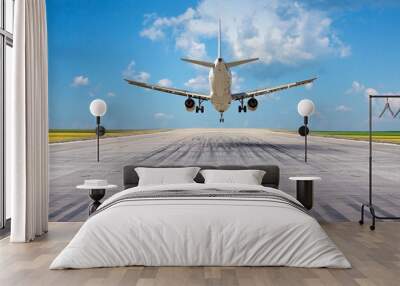 Passenger plane landing Wall mural