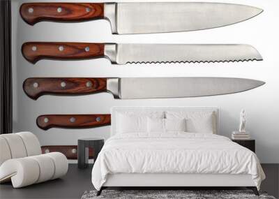 Set of steel kitchen knives Wall mural