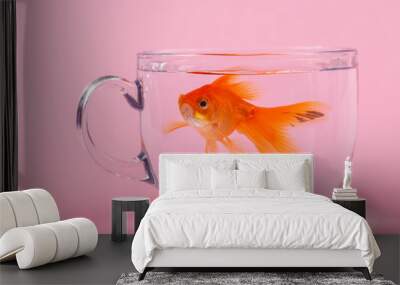 Gold fish inside a bowl cup on pink Background. Wall mural