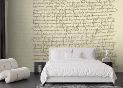 documento 2 Wall mural