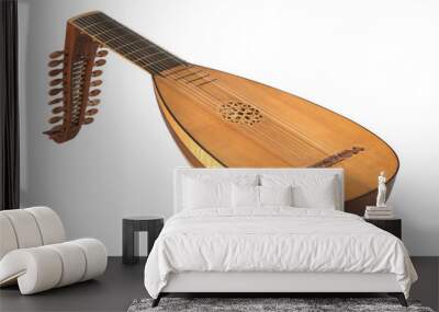 lute on white background Wall mural