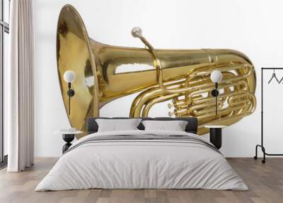 tuba Wall mural