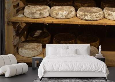 aged cheese in the cellar ready to eat eating cooking appetizer meal food snack on the table copy space food Wall mural