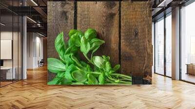 basil (flavored green ingredient used for cooking). food background. top view. copy space Wall mural