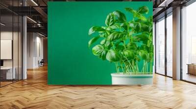 basil fresh green bush aromatic herb tasty fresh healthy eating cooking appetizer meal food snack on the table copy space food background rustic top view Wall mural