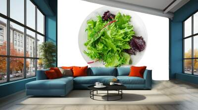 green salad bowl leaves mix fresh meal food snack on the table copy space food background rustic top view Wall mural