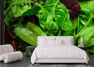 Healthy salad, leaves mix salad (mix micro greens, juicy snack, tomato). food background - Image Wall mural