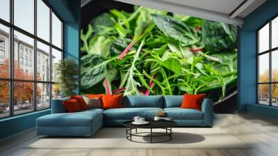 Healthy salad mix, leaves micro green, juicy snack healthy eating cooking appetizer meal food on the table copy space food background Wall mural