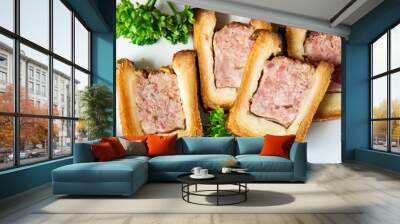 pate croute meat dough pork or beef, chicken french food meal snack on the table copy space food background   Wall mural