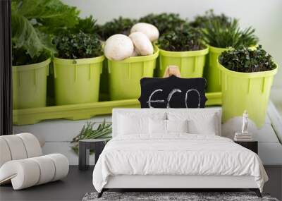 Growing seedlings and vegetables provide themselves with products on their site. ECO food. Concept of self isolation during a pandemic COVID-19. Green and white flat lay. Wall mural