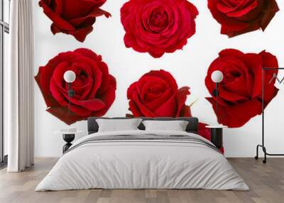 collage of red roses Wall mural