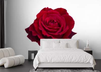 Dark red rose Wall mural