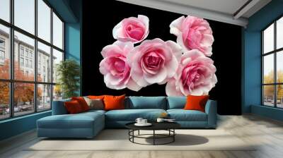 Group of beautiful pink roses Wall mural