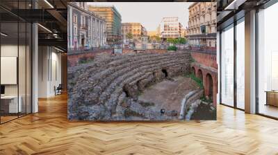 Remains of the Roman amphitheater at the Stesicoro square in Catania, Italy Wall mural