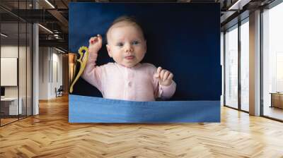 two month old baby with golden cup, victory concept, panoramic mock-up image Wall mural