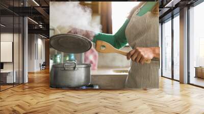 Latin mature woman cooking in old vintage kitchen - Mother preparing lunch for the family at home - Focus on fingers Wall mural