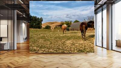 two horses in a field Wall mural