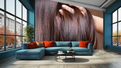 A beautiful brunette woman is seen closeup, stroking fingers through straightened and conditioned glossy brown hair with room for copy. Wall mural