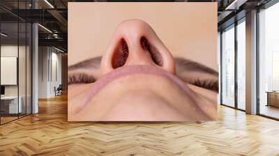 Nose of a woman seen from below. Laser hair removal concept of nose hair Wall mural