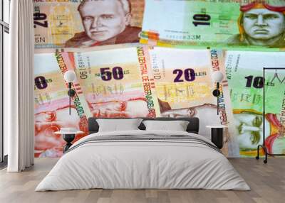 Peruvian Nuevo Soles money and currency Wall mural