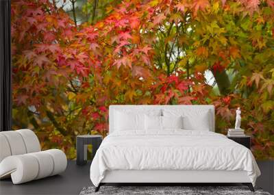 Autumn Tree Wall mural