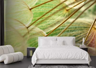 Winged seeds of dandelion head plant Wall mural