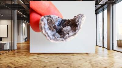 a quartz geode mineral harvested and analyzed in the laboratory Wall mural