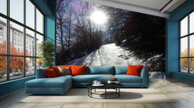 sibillini mountains Wall mural