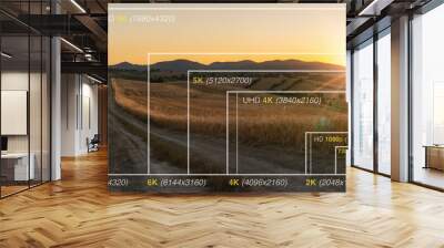 TV screen resolution size, Visual comparison	 Wall mural