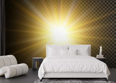 vector transparent sunlight special lens flash light effect.front sun lens flash. vector blur in the Wall mural