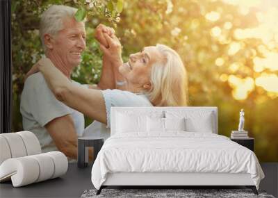  beautiful senior couple dancing Wall mural