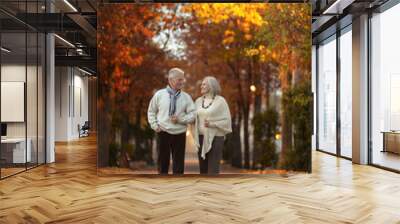  couple walking  in the park  Wall mural