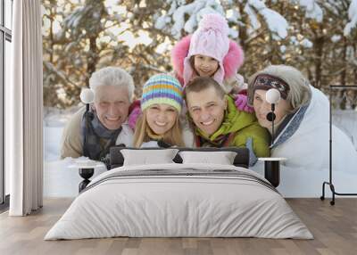 family in winter park Wall mural