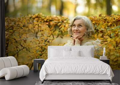 Happy beautiful senior woman in the autumn park.  Wall mural