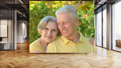 Happy elderly couple embracing Wall mural