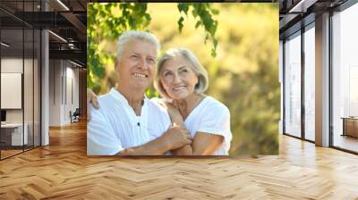 mature couple   in summer park Wall mural