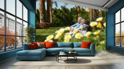 Old couple in garden Wall mural