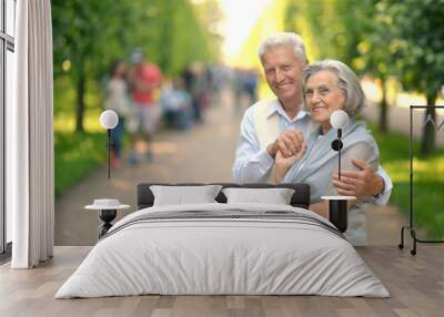 Retired couple in park Wall mural